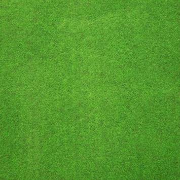 Grastapijt 200x400 cm Grastapijt 200x400 Cm -Buiten Tuin 123 1236