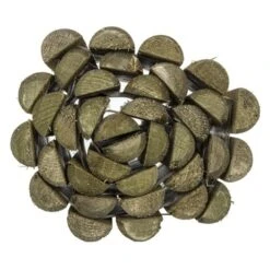 Borderrol Met Uitspoeldoek Ca. 180x20 Cm 4 Borderrol Met Uitspoeldoek Ca. 180x20 Cm -Buiten Tuin 123 1327