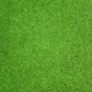 Grastapijt 133x400 cm Grastapijt 133x400 Cm -Buiten Tuin 123 1370