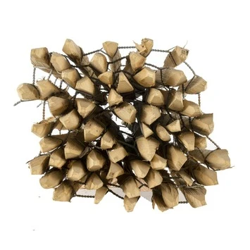 Schapenhek kastanjehout ca. 100x500 cm Schapenhek Kastanjehout Ca. 100x500 Cm -Buiten Tuin 123 1889