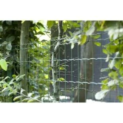 Betafence Pantanet Tuingaas Family 203 Cmx25 M Groen 7 Betafence Pantanet Tuingaas Family 203 Cmx25 M Groen -Buiten Tuin 123 2447
