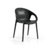 Stoel Lotus Zwart 2 Stoel Lotus Zwart -Buiten Tuin 123 2711