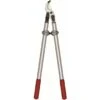 Felco Takkenschaar F220 -Buiten Tuin 123 3263