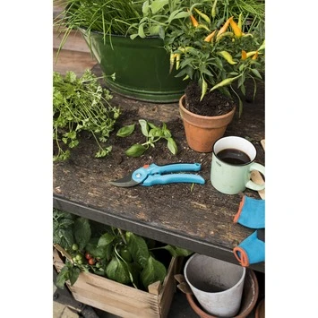 Gardena snoeischaar Classic standaard Gardena Snoeischaar Classic Standaard -Buiten Tuin 123 3289