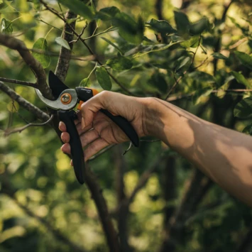 Fiskars snoeischaar P321 Fiskars Snoeischaar P321 -Buiten Tuin 123 3292