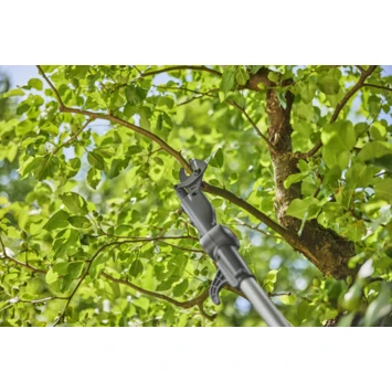 Gardena 18V telescopische takkenschaar 2,5m (P4A) (zonder accu) Gardena 18V Telescopische Takkenschaar 2,5m (P4A) (zonder Accu) -Buiten Tuin 123 3331