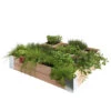 Moestuinbak Douglas 100x100cm  -Buiten Tuin 123 382