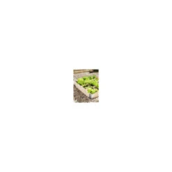 Moestuinbak Douglas 100x100cm 3 Moestuinbak Douglas 100x100cm -Buiten Tuin 123 383
