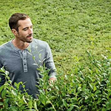 Bosch 18V heggenschaar AHS 50-20 Li 50cm Bosch 18V Heggenschaar AHS 50-20 Li 50cm -Buiten Tuin 123 4809