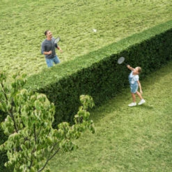 Bosch 18V Heggenschaar AHS 50-20 Li 50cm 10 Bosch 18V Heggenschaar AHS 50-20 Li 50cm -Buiten Tuin 123 4810