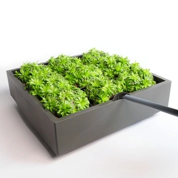 Muurhanger verticaal tuinieren Muurhanger Verticaal Tuinieren -Buiten Tuin 123 624