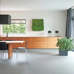 Muurhanger Verticaal Tuinieren 4 Muurhanger Verticaal Tuinieren -Buiten Tuin 123 625