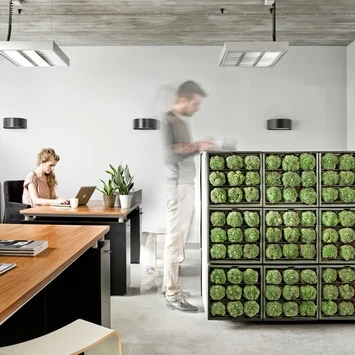 Muurhanger verticaal tuinieren Muurhanger Verticaal Tuinieren -Buiten Tuin 123 626