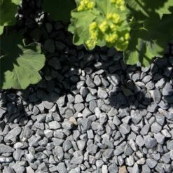 Split Grind Bluestone Blauw 12-16 Mm 4 Split Grind Bluestone Blauw 12-16 Mm -Buiten Tuin 123 807