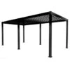 Pergola Classic Zwart 3x6m -Buiten Tuin 123 9