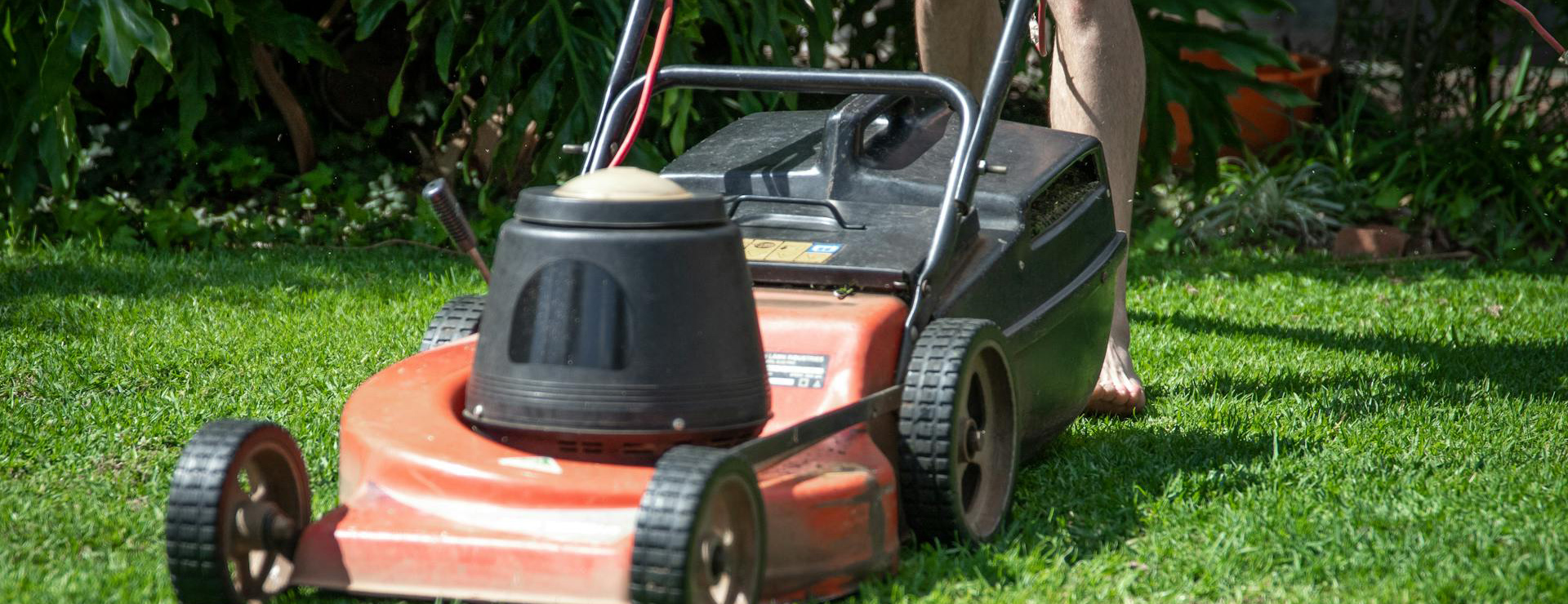 Buiten Tuin 1 Buiten Tuin -Buiten Tuin pexels magda ehlers pexels 4162011